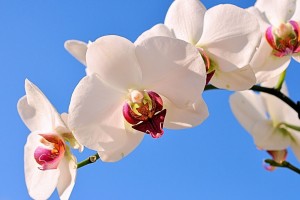 世界体能恢复公益课堂高校合作第41批项目验收结果公布，世界体能比赛
