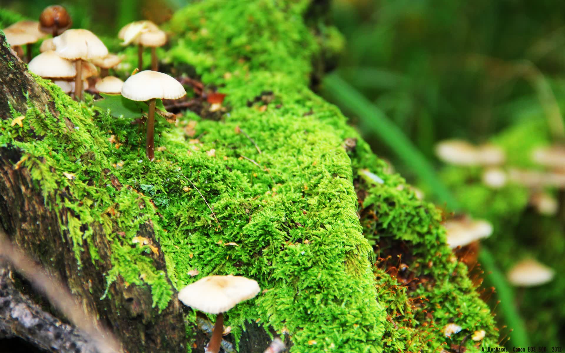 世界保龄球社区推广月优秀组织单位交流会召开，世界保龄球联合会